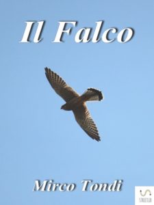 Il falco, incarnazione del buon Samaritano